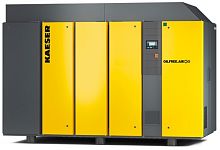 Компрессор Kaeser DSG 290-2 6 RD